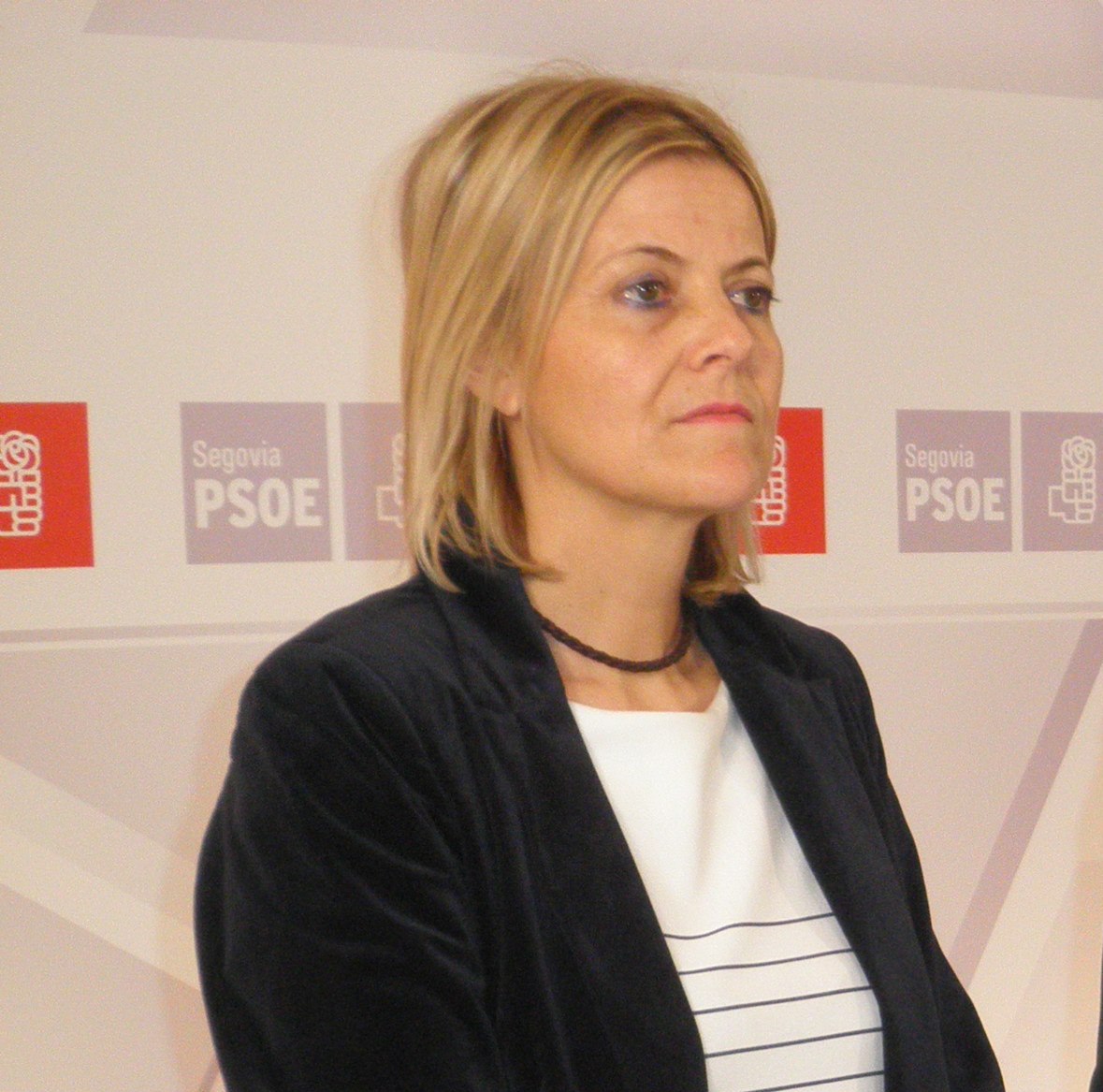El PSOE exige a la Junta que use los nuevos 100 millones para sanidad en atender a los enfermos de cáncer de Segovia