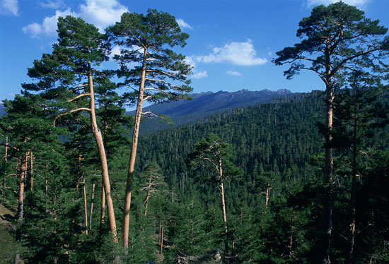 La historia del Parque Nacional de la Sierra de Guadarrama en el CENEAM de Valsaín
