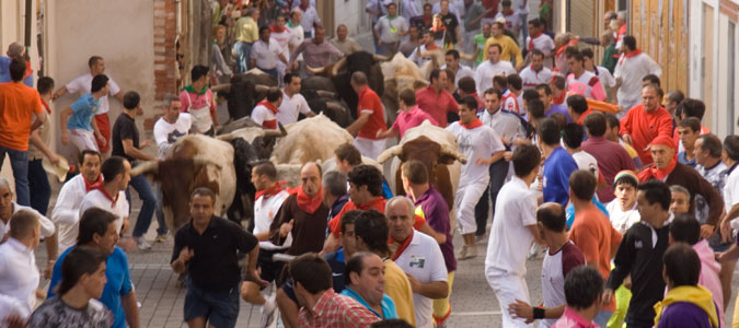 Los encierros y festejos taurinos de Cuéllar costaron 153.000 euros en el 2013