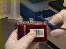 El Hospital General registra 88 extracciones de sangre de cordón umbilical desde 2010