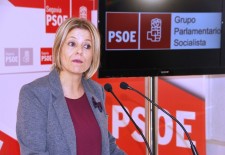 Los socialistas califican la legislatura del PP en Castilla y León como la del paro, los recortes y la despoblación