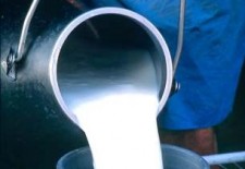 UCCL repartirá dos mil litros de leche en el Azoguejo para reivindicar mejoras en el sector